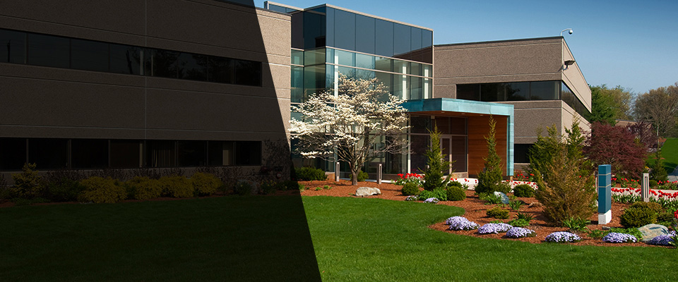 Lima Landscapers