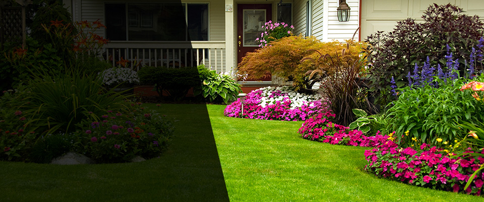 Lima Landscapers