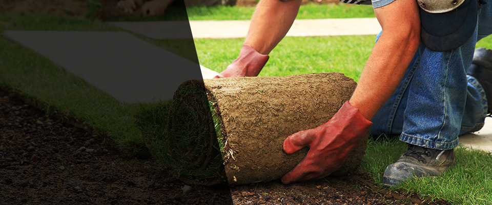 Lima Landscapers